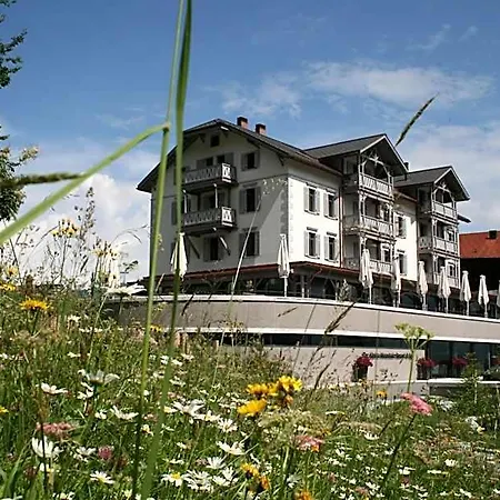 The Alpina Mountain Hotel 3*