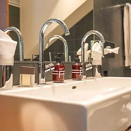 The Alpina Mountain Hotel 3*