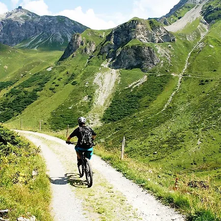 Отель The Alpina Mountain 3*