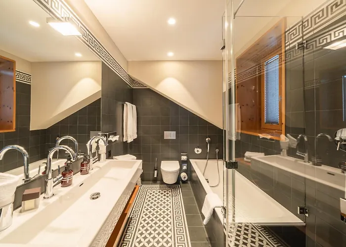 فندق The Alpina Mountain تشيرتشين