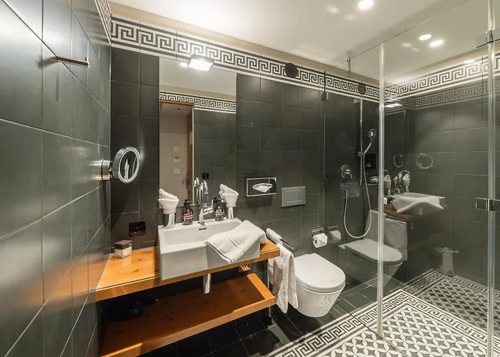 The Alpina Mountain فندق