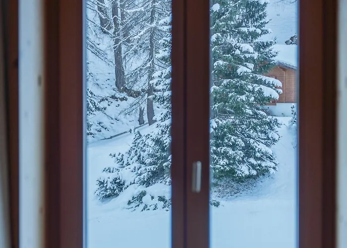 فندق The Alpina Mountain