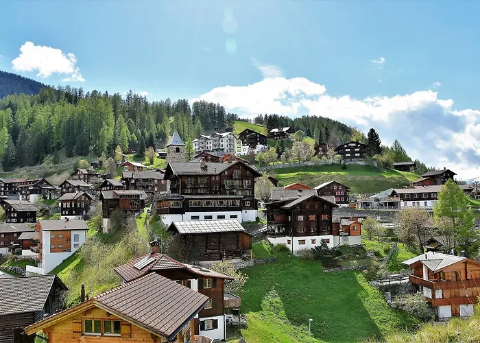 فندق The Alpina Mountain تشيرتشين